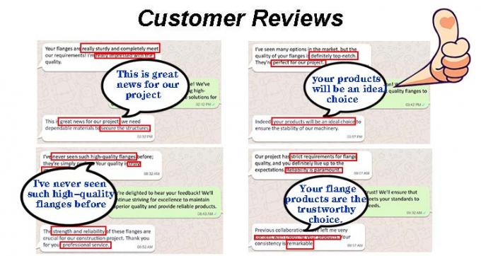 Metal Çin Fabrikası Bakır Nikel Örnekleri Boru Bileşenleri Flanş B16.5 Flanşlar 7