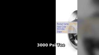 3000 Psi Azaltıcı Tee Yüksek Basınçlı Endüstriyel