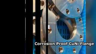 CuNi 70/30 Flanş Kimyasal Kullanımı