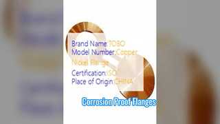 Gözlük Flanşları Bakır Nikel 90/10 Dövme