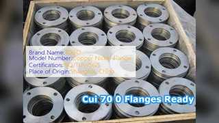 Cui 70 0 SW Flanşlı Dövme ASME B6 Cl 0 Hazır