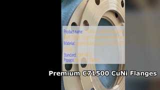 C71500 CuNi 70 30 Kaynak Boyunlu Flanş Premium Dövme Kalitesi